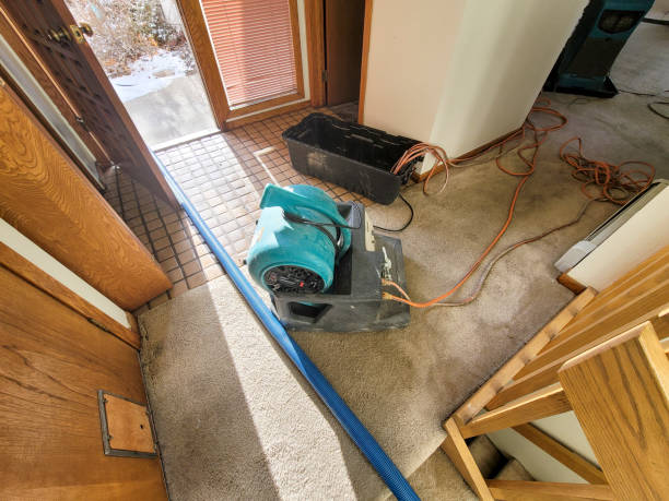 Best Flood damage cleanup  in Lawrenceville, NJ