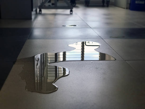 Best Water damage restoration process  in Lawrenceville, NJ