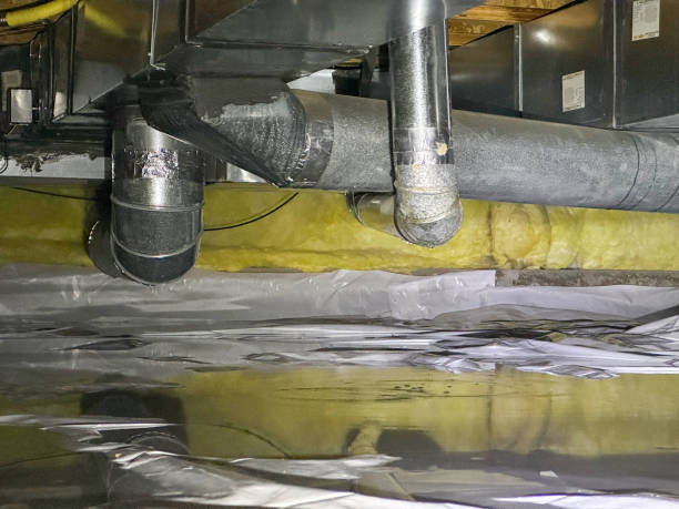 Best Water damage cleanup near me  in Lawrenceville, NJ