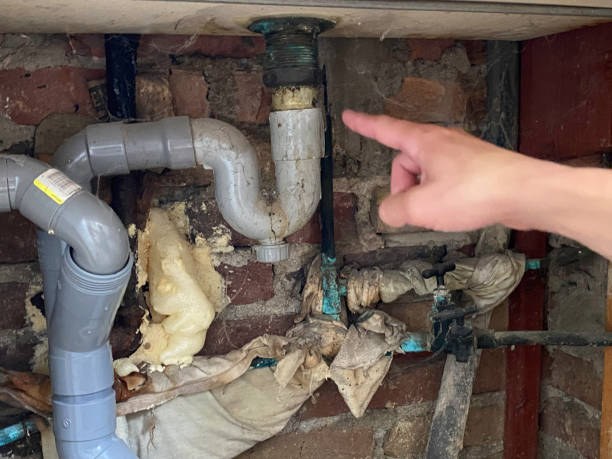 Best Water damage restoration near me  in Lawrenceville, NJ